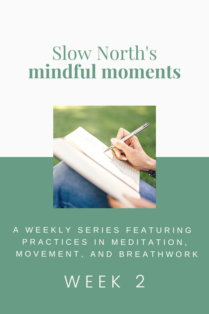 Mindful Moments: Week 2