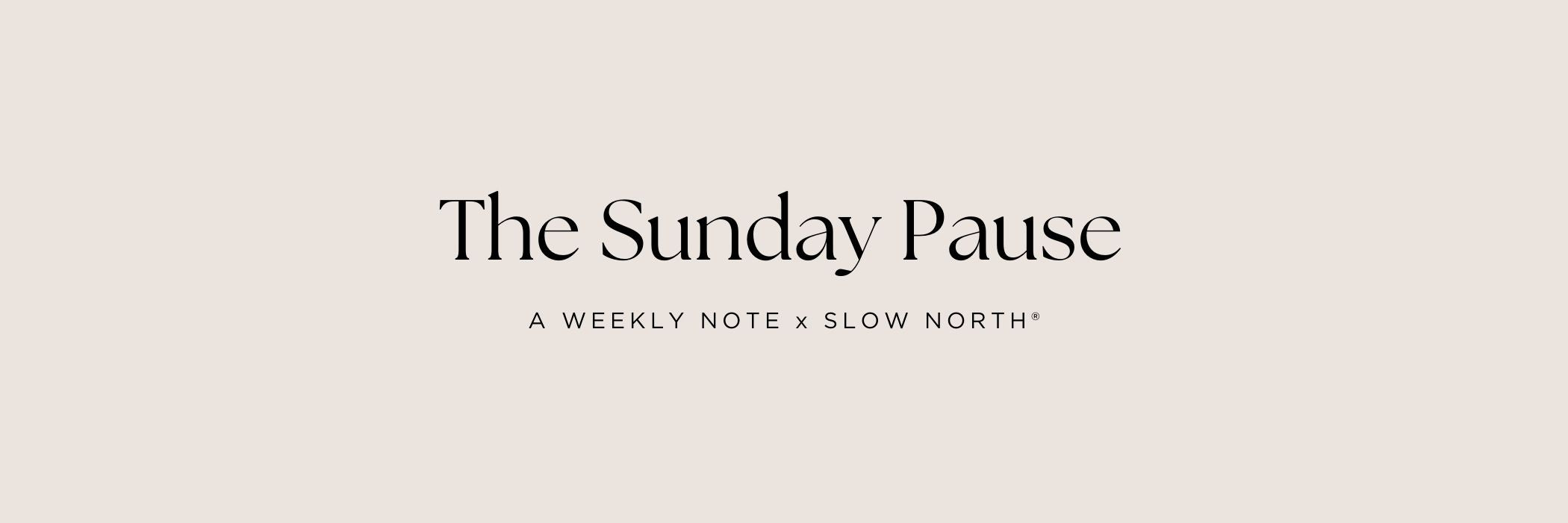 The Sunday Pause: Embracing Change & Finding Stillness