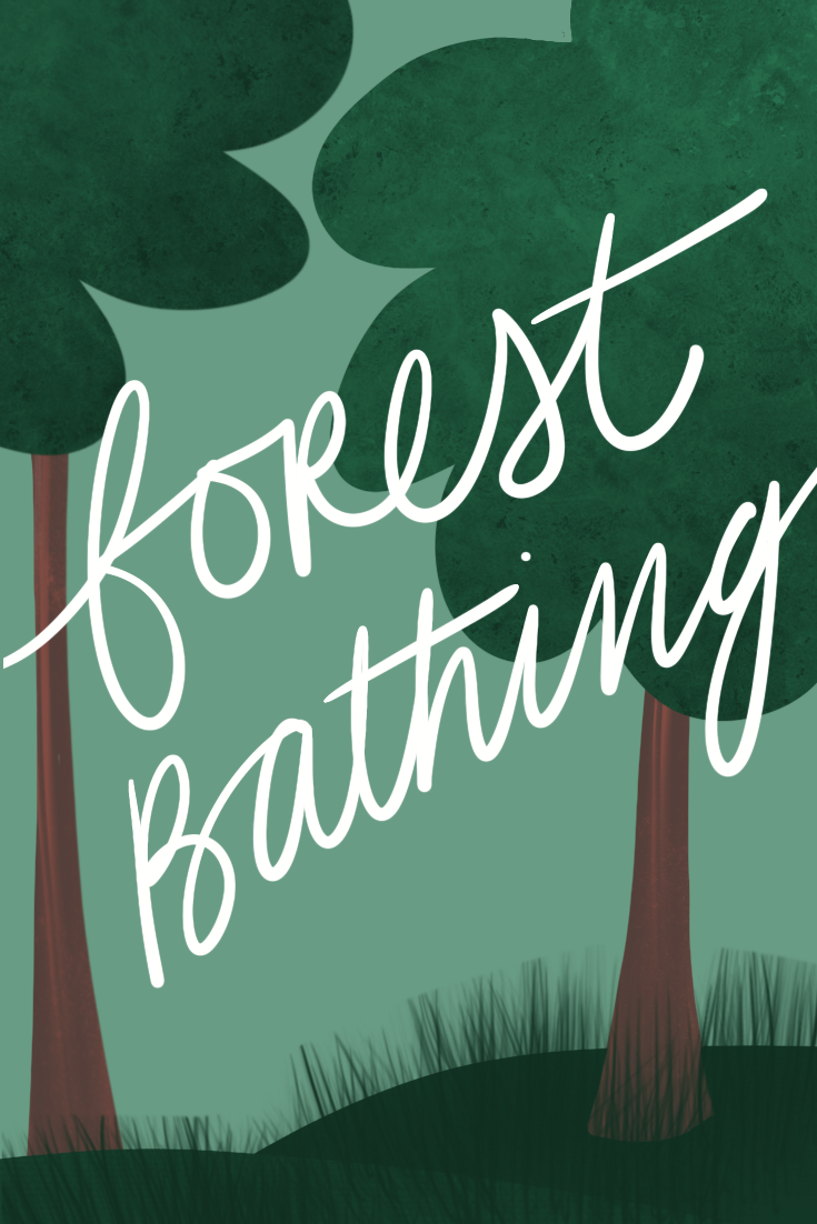 Forest Bathing: What It Is and Why You Need it