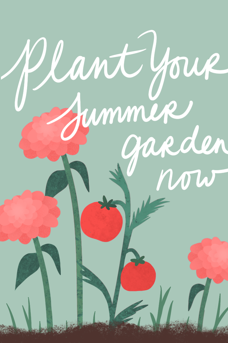 It's Not Too Late to Plant Your Summer Garden