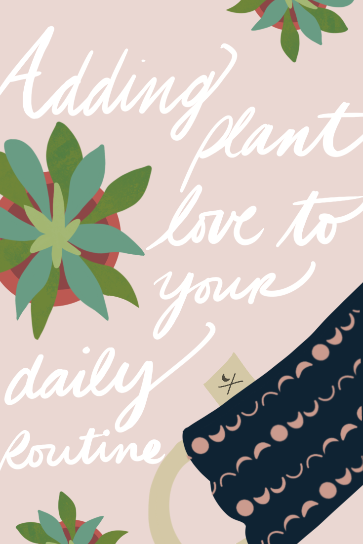 Adding Plant Love to Your Daily Routine