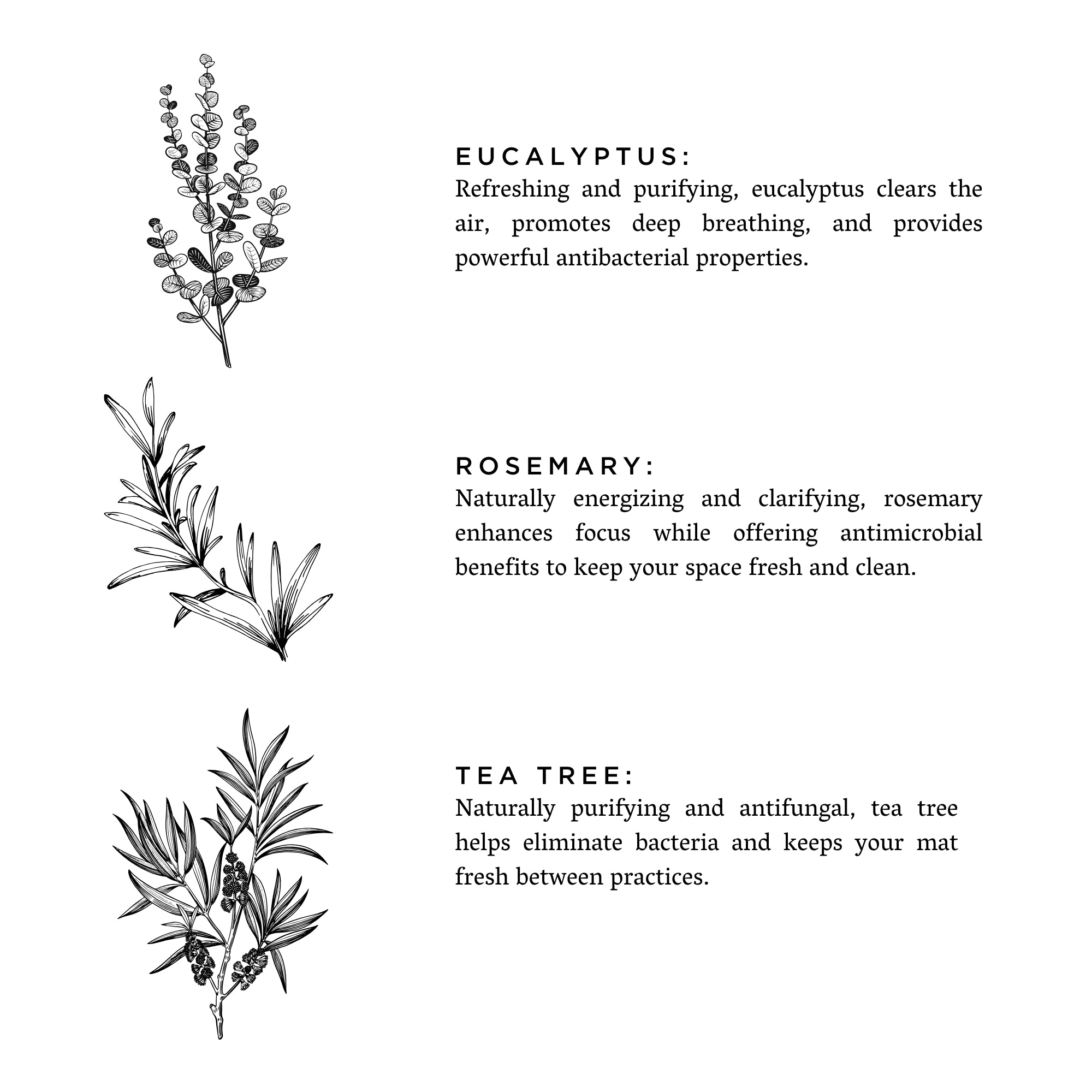 Yoga Mat Spray - Eucalyptus + Rosemary